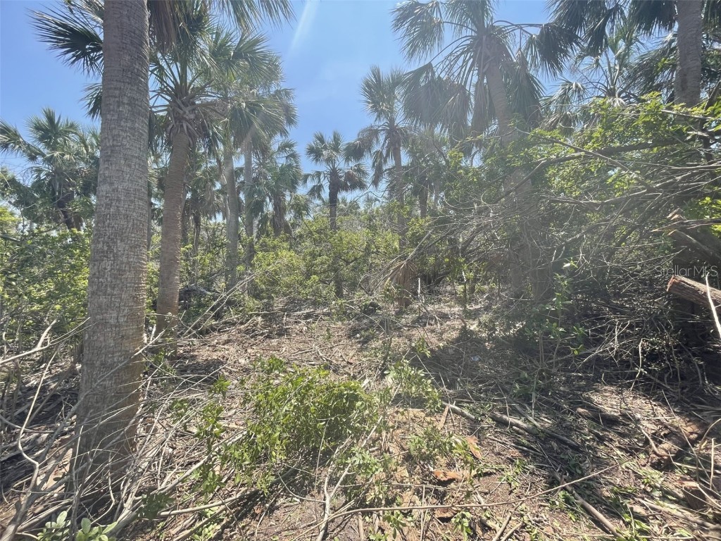 Palm Point Way Placida FL 33946 D6137427 image9