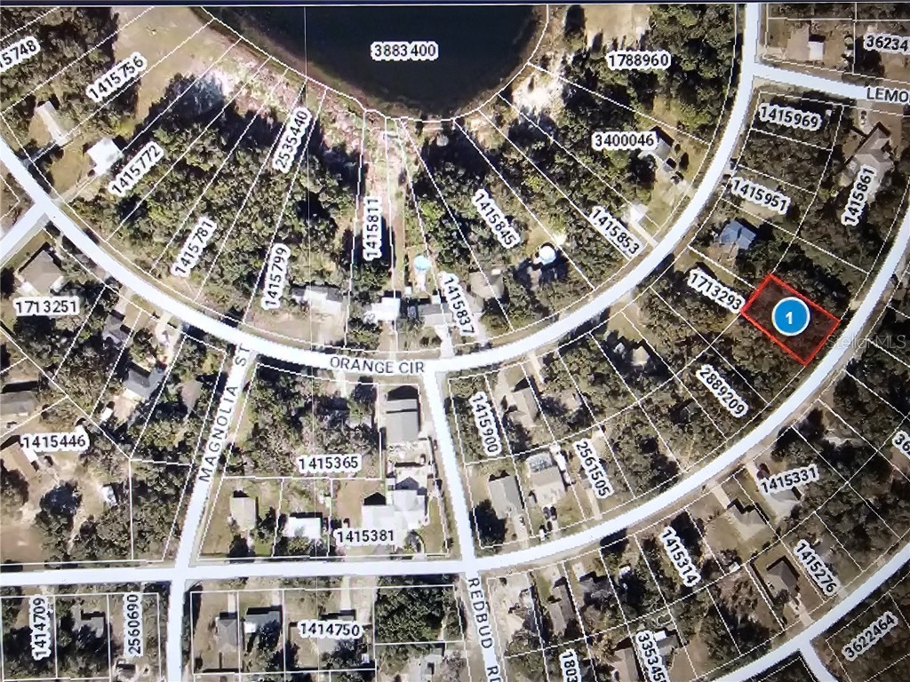 Palm Street Lady Lake FL 32159 G5073793 image1