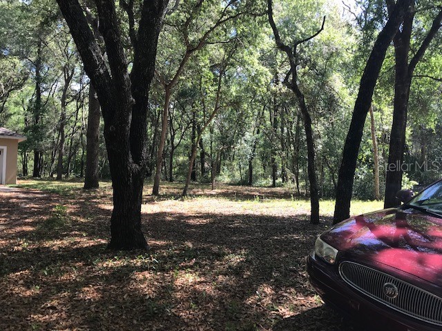 Palm Street Lady Lake FL 32159 P4927564 image1