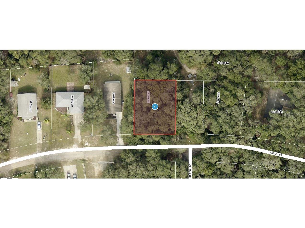 Palm Street Lady Lake FL 32159 C7513483 image1