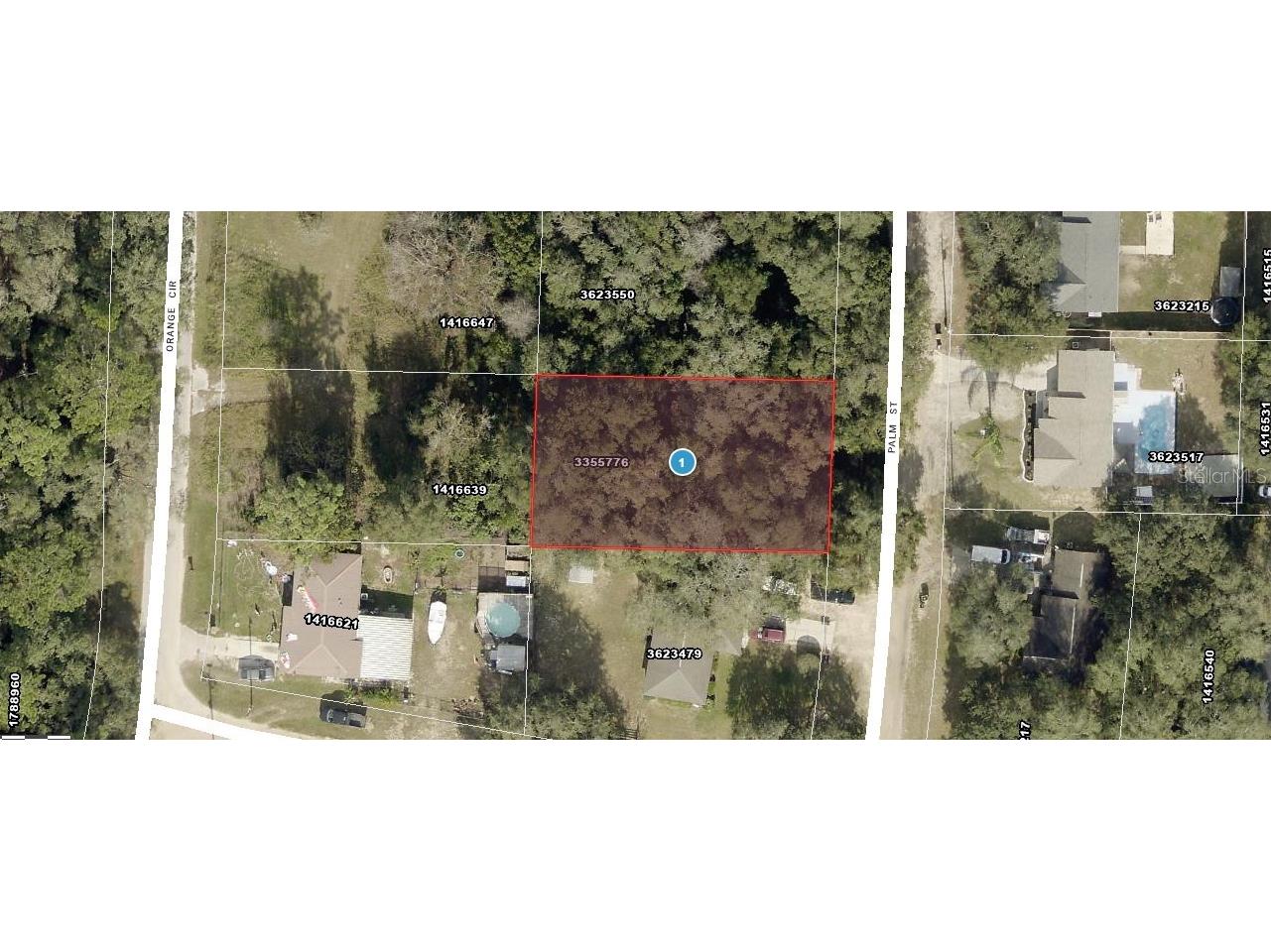 Palm Street Lady Lake FL 32159 C7518668 image1