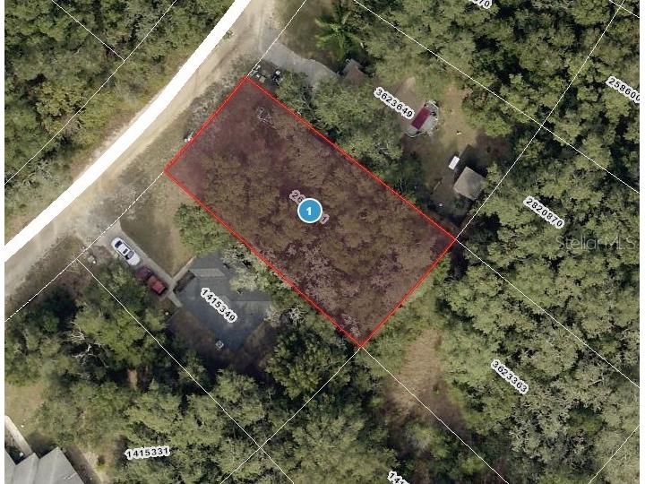 Palm Street Lady Lake FL 32159 OM704448 image1