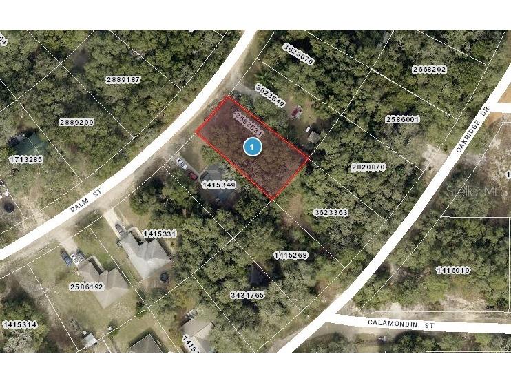 Palm Street Lady Lake FL 32159 OM704448 image2