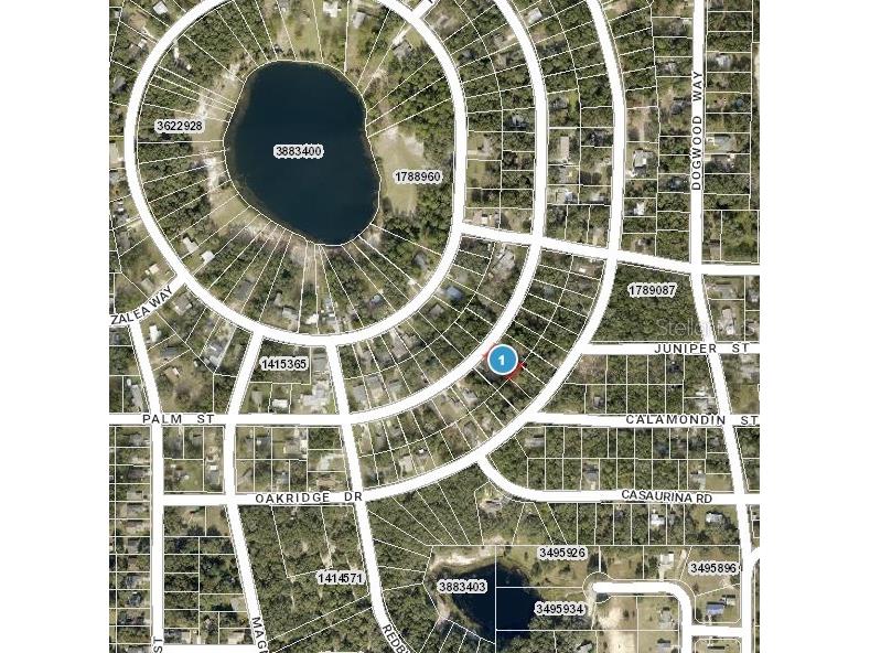 Palm Street Lady Lake FL 32159 OM704448 image3