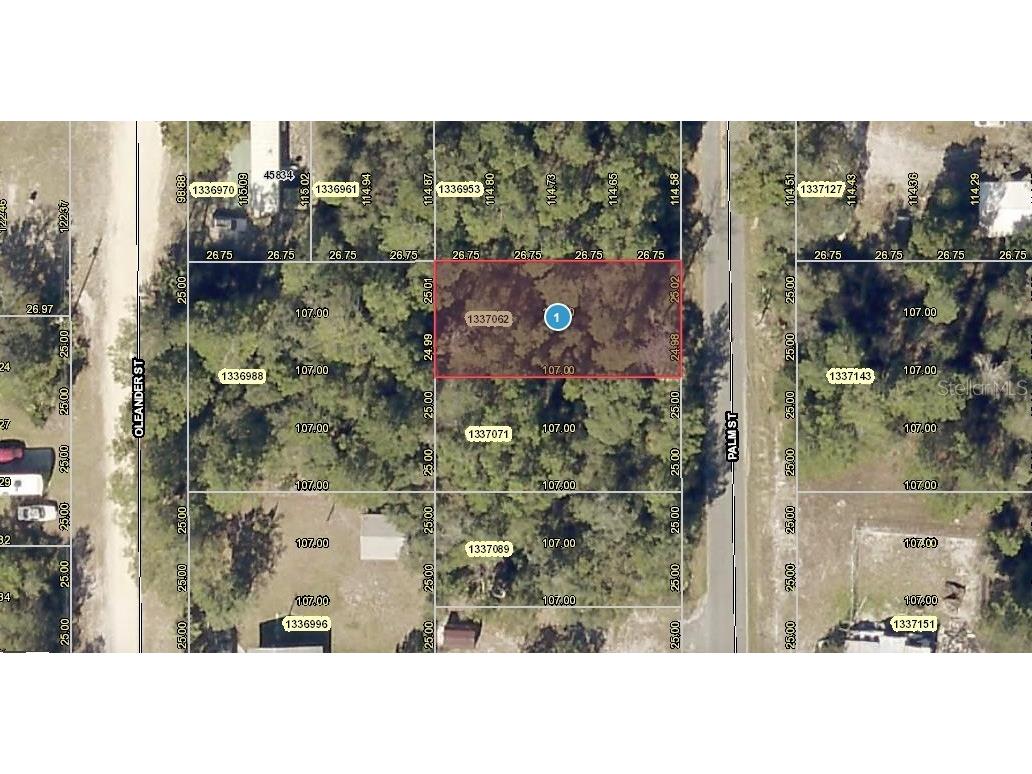 Palm Street Paisley FL 32767 O6051434 image1