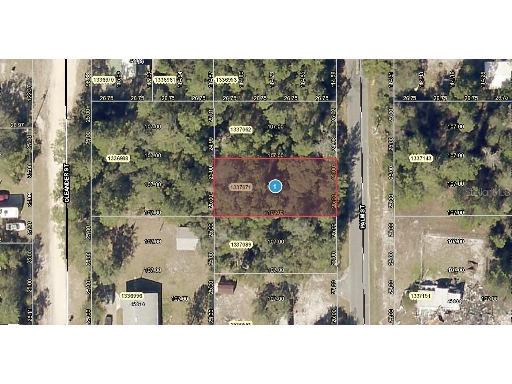 Palm Street Paisley FL 32767 O6051445 image1