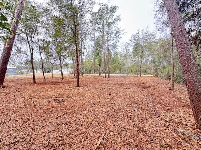 Palm Street Paisley FL 32767 G5108552 image3