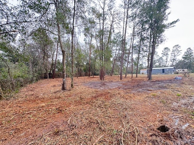 Palm Street Paisley FL 32767 G5108552 image4