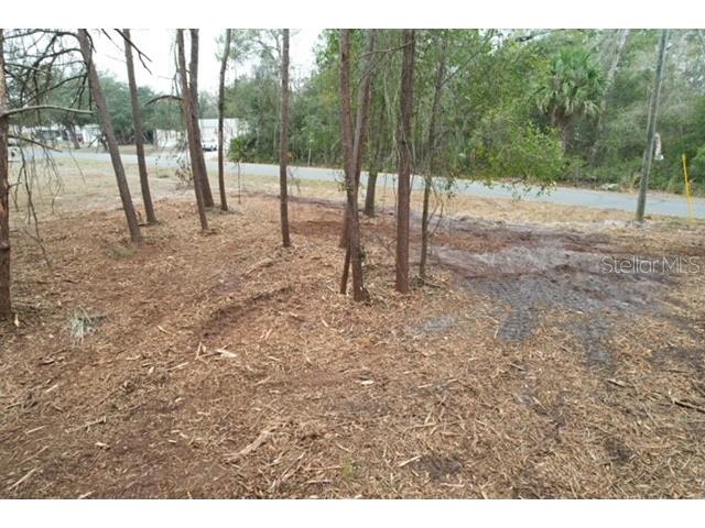 Palm Street Paisley FL 32767 G5108552 image5