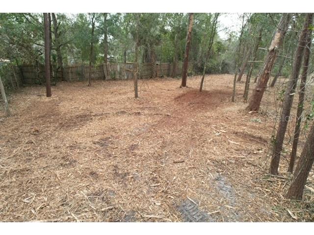 Palm Street Paisley FL 32767 G5108552 image6