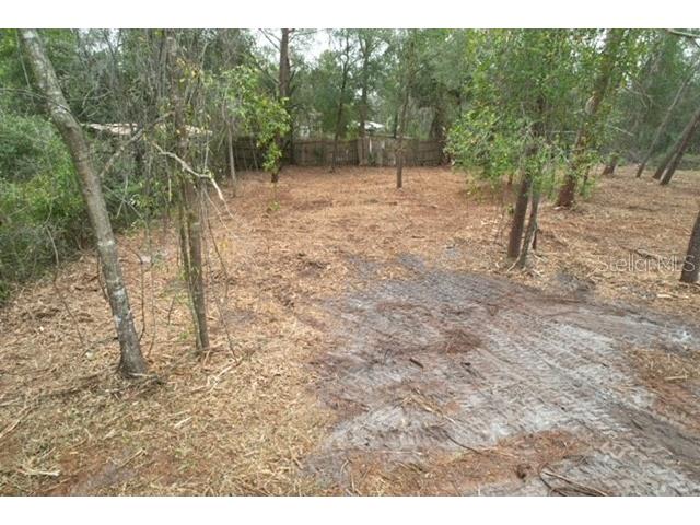 Palm Street Paisley FL 32767 G5108552 image7