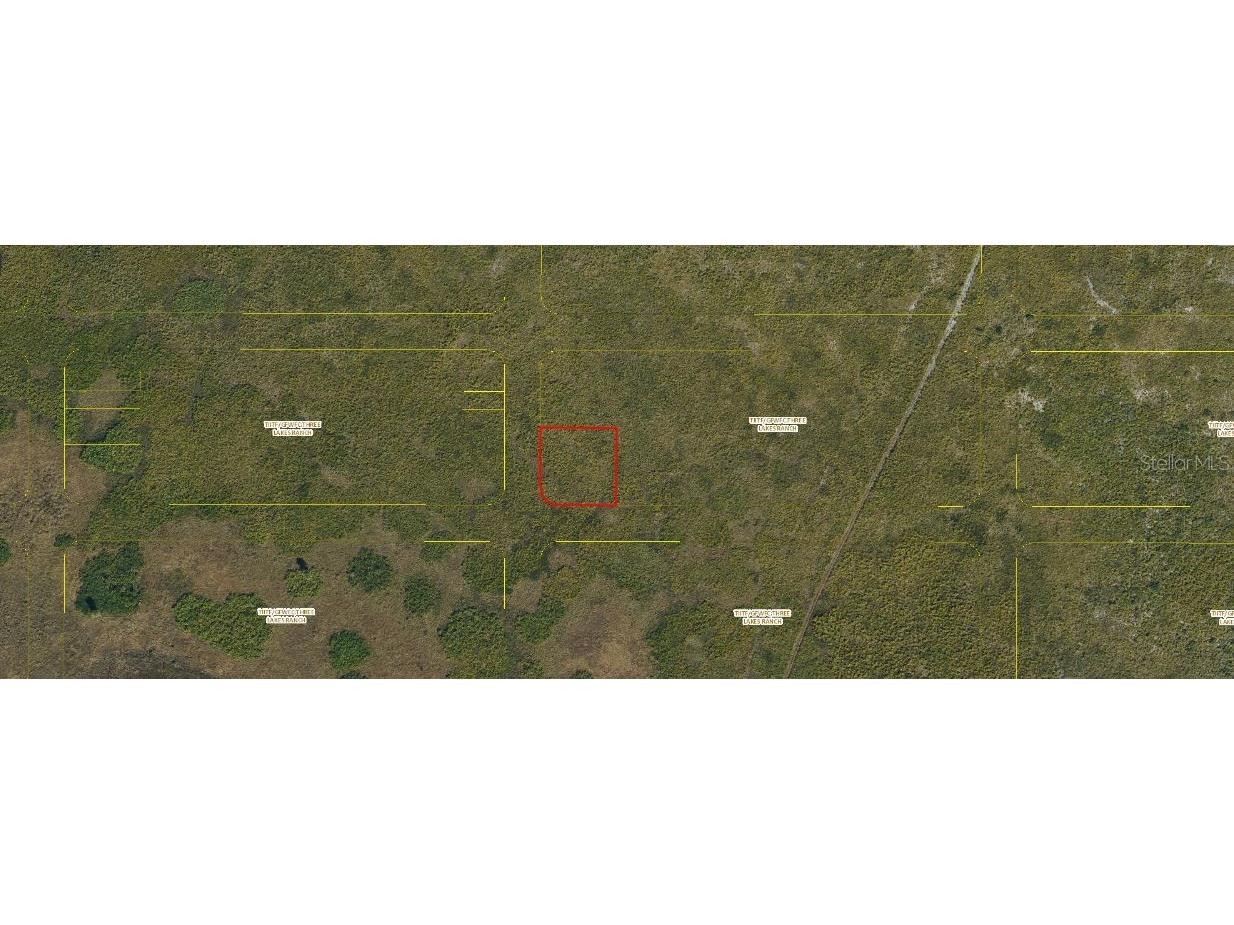 Palmetto Avenue Kenansville FL 34739 O6241766 image2