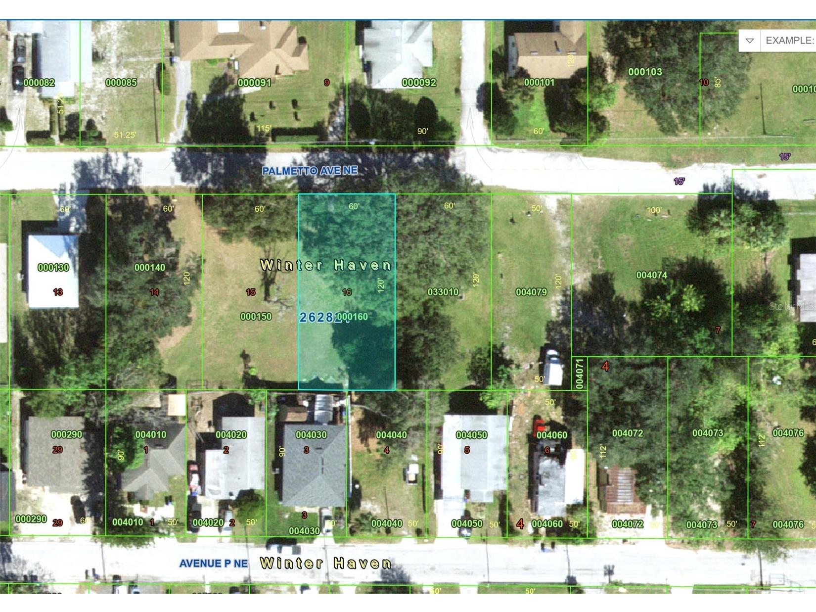 Palmetto Avenue NE Winter Haven FL 33881 P4938913 image3
