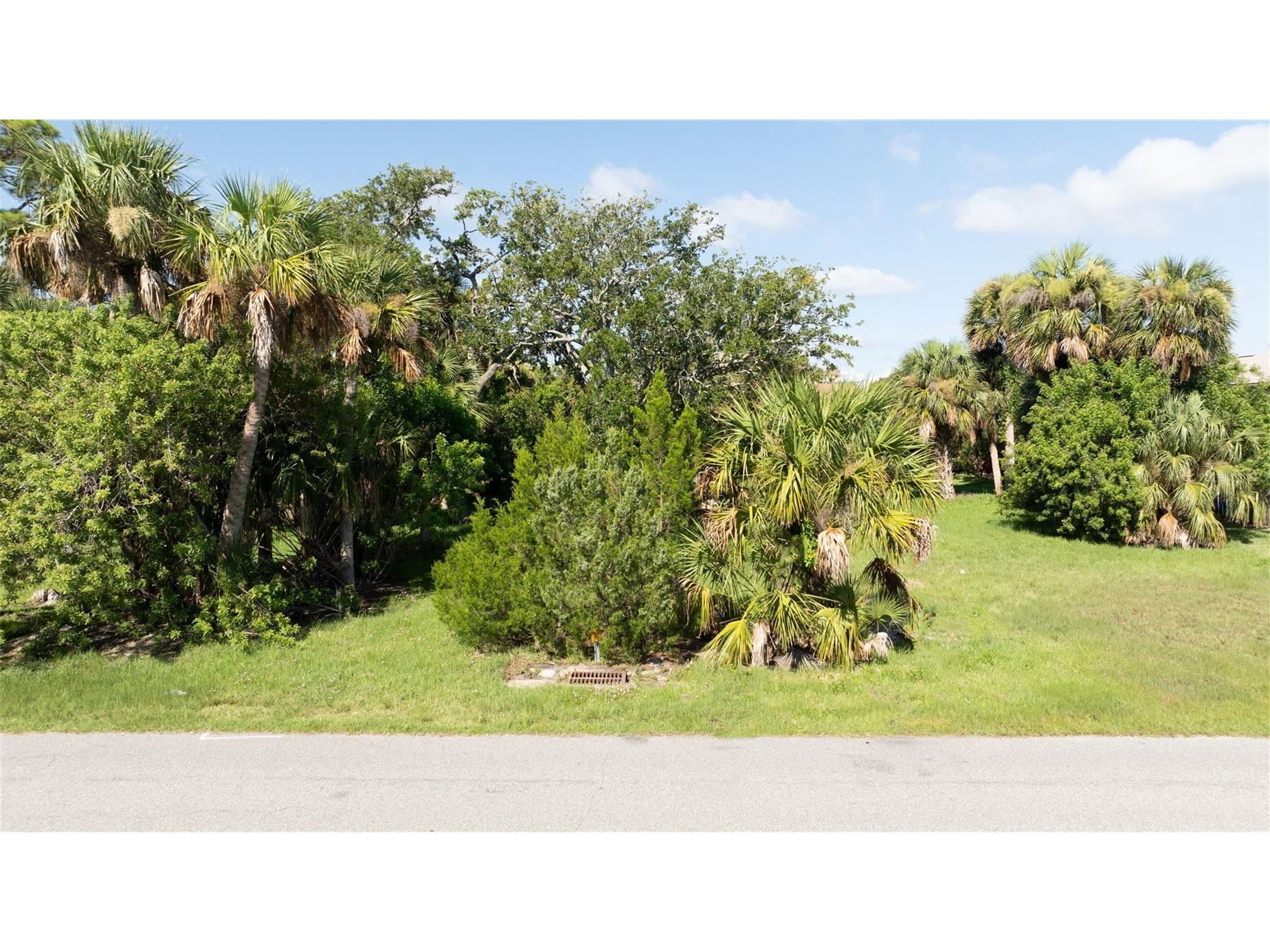 Palmetto Avenue South Daytona FL 32119 NS1086986 image12