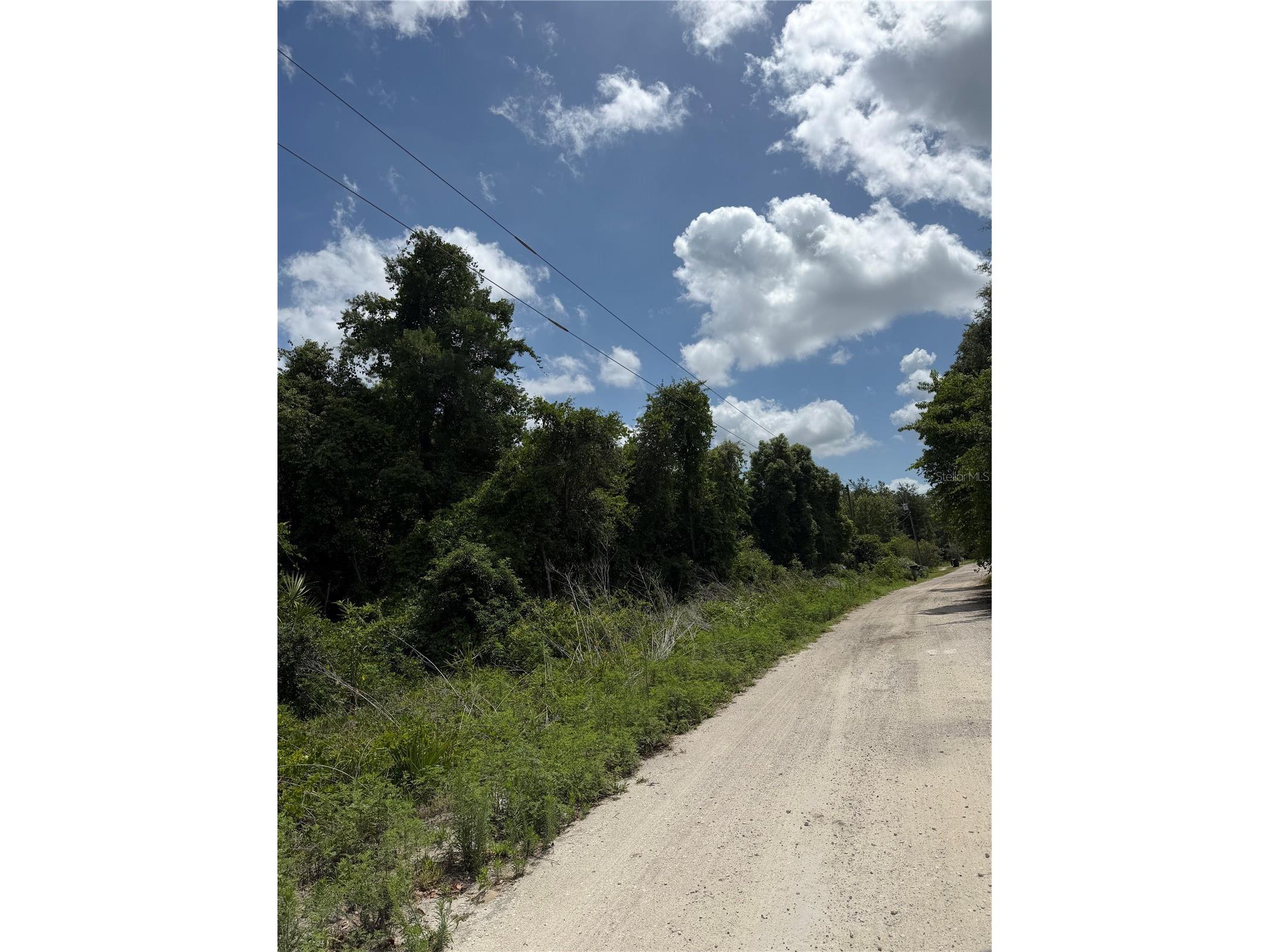 Palmetto Circle Paisley FL 32767 V4949270 image2