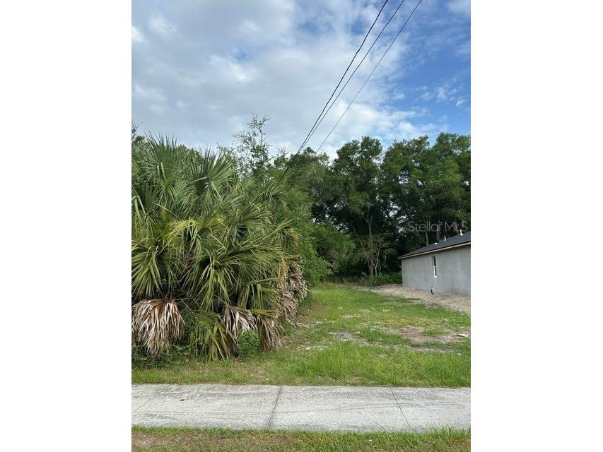 Palmetto Street Eustis FL 32726 G5113240 image1