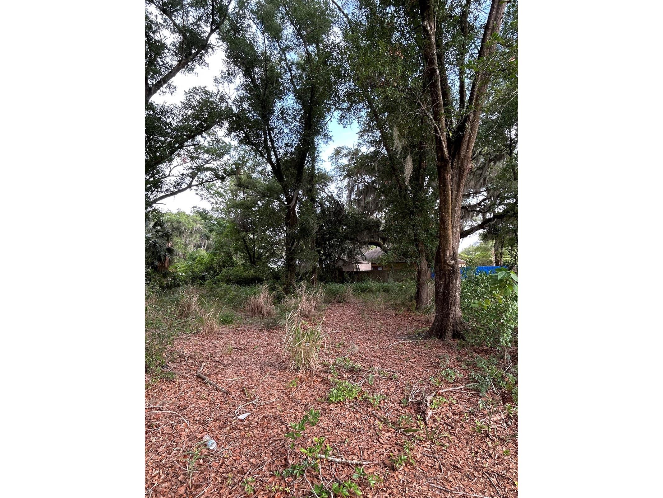 Palmetto Street Eustis FL 32726 G5113240 image3
