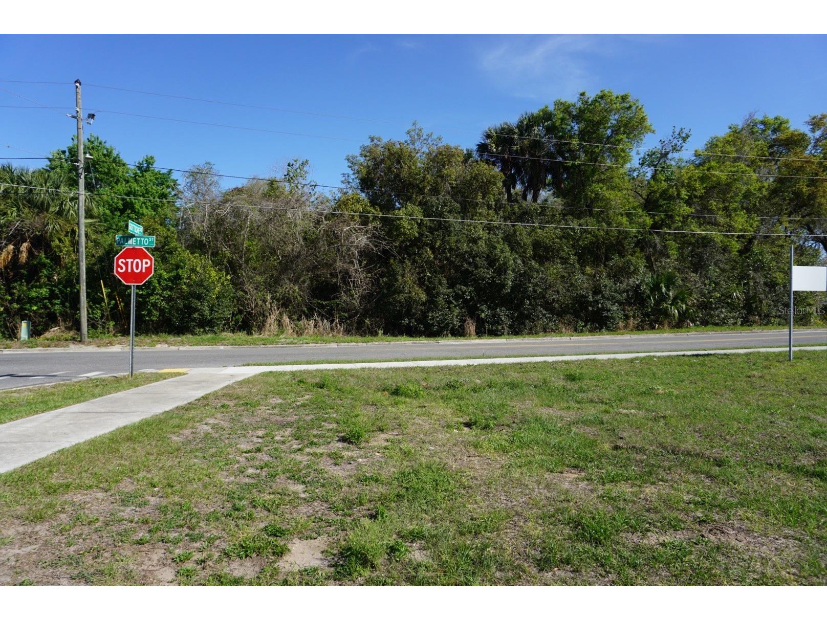 Palmetto Street Eustis FL 32726 O6390035 image2