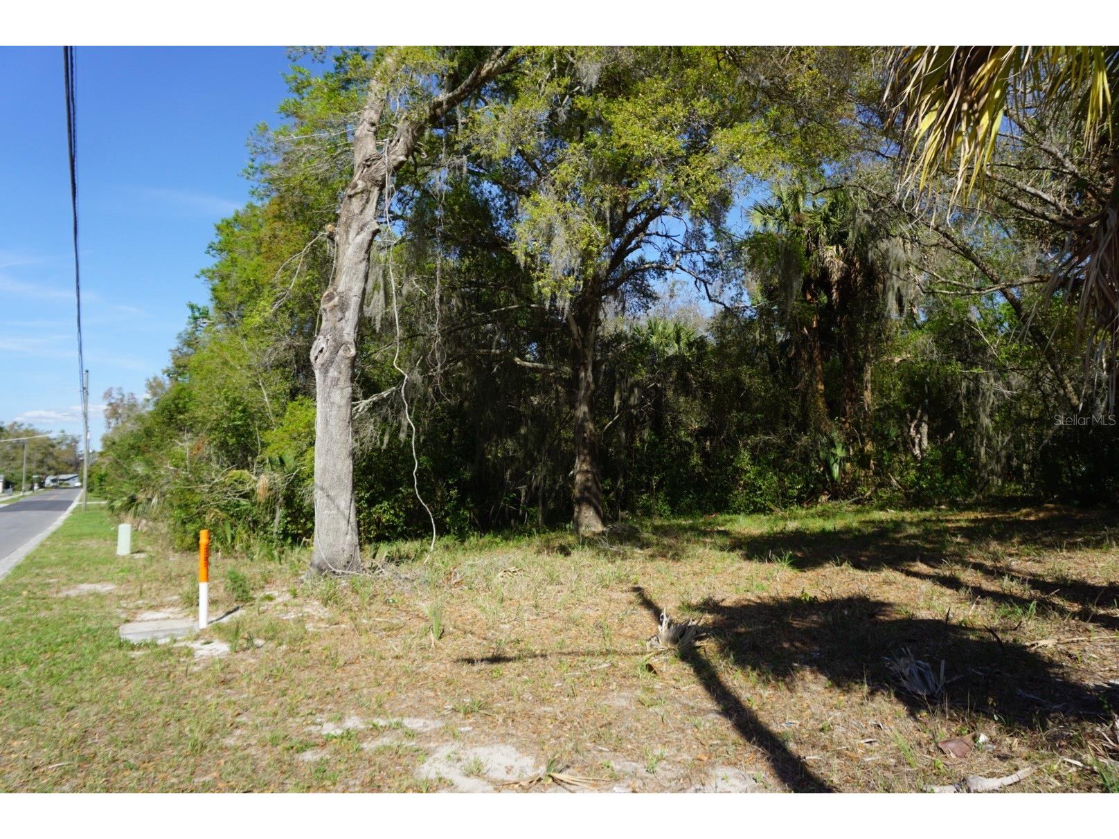 Palmetto Street Eustis FL 32726 O6390035 image3