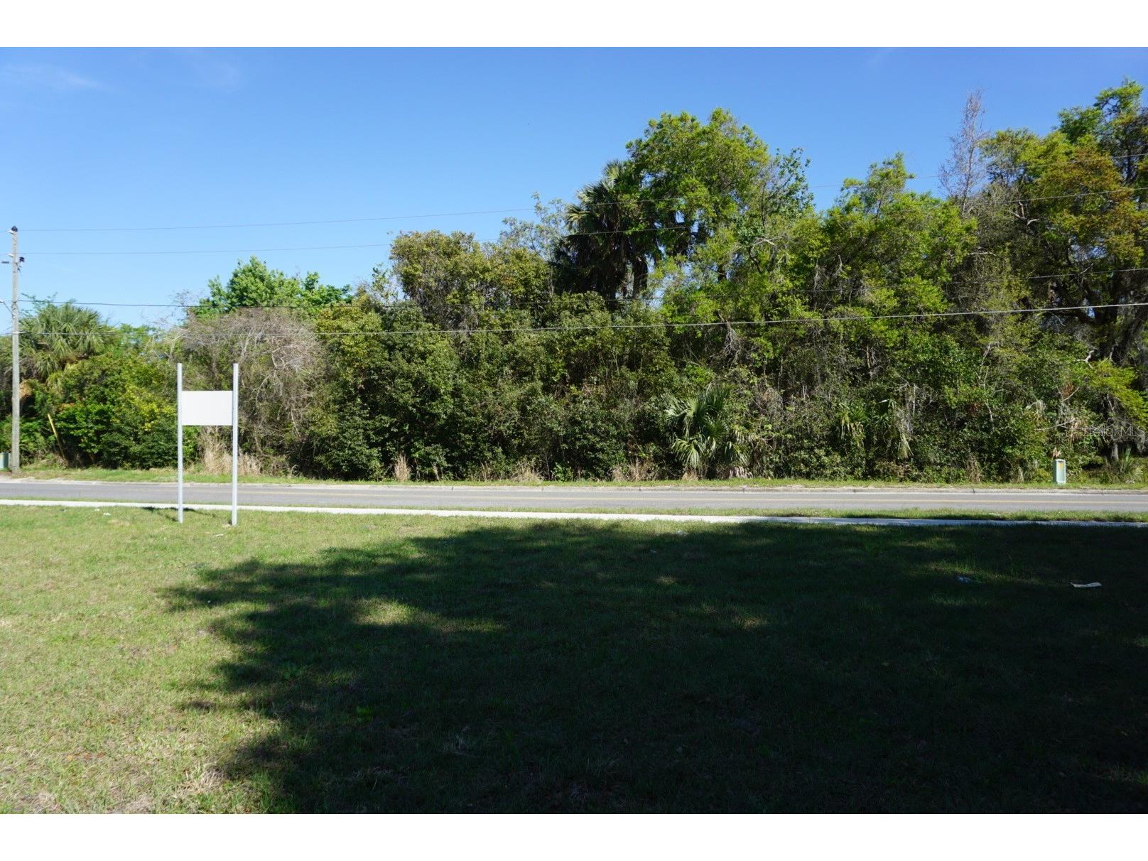 Palmetto Street Eustis FL 32726 O6390035 image4