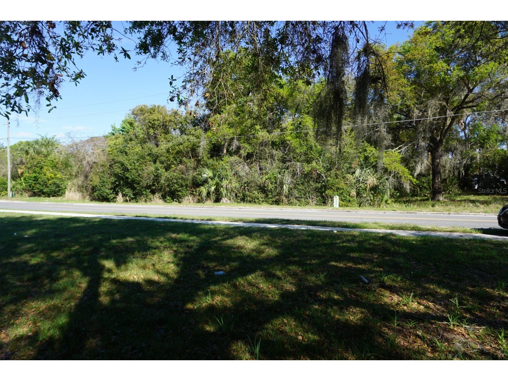 Palmetto Street Eustis FL 32726 O6390046 image1