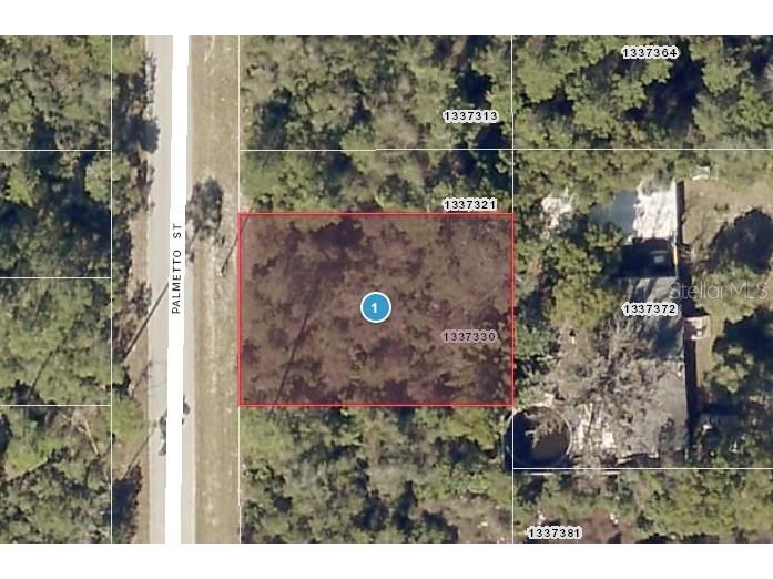 Palmetto Street Paisley FL 32767 O6103268 image1