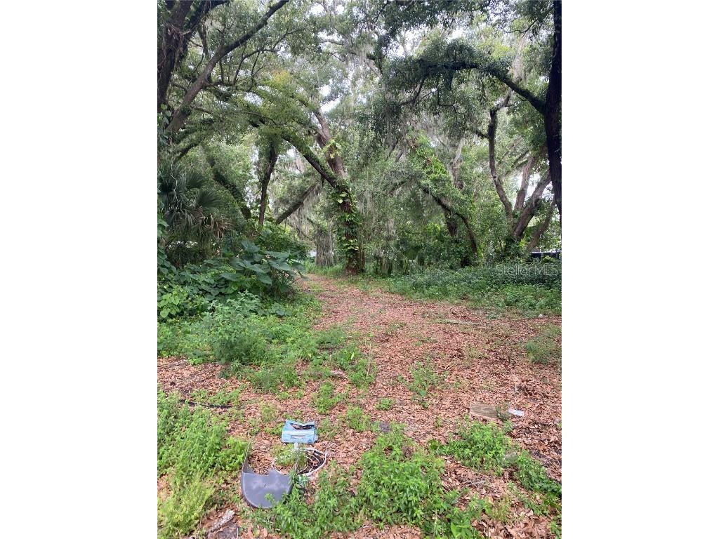 Palmetto Sanford FL 32773 G5097904 image1