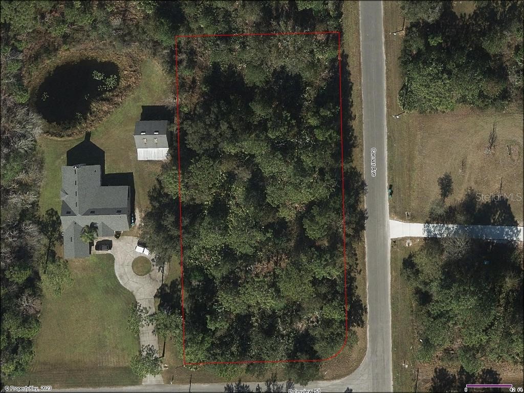 Palmview Street Orlando FL 32833 S5096056 image1