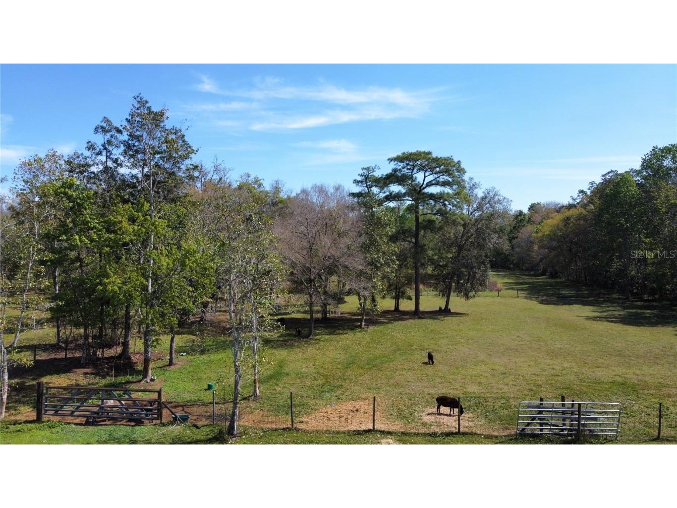 Palomino Way Oviedo FL 32765 G5077624 image1