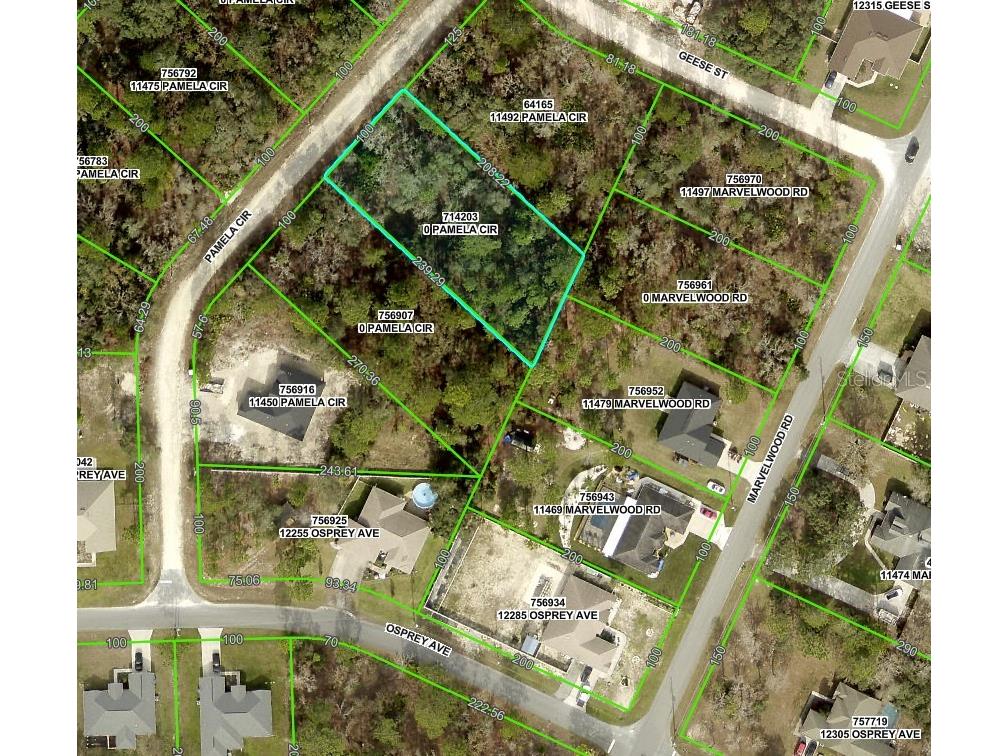 Pamela Circle Brooksville FL 34614 W7872126 image2