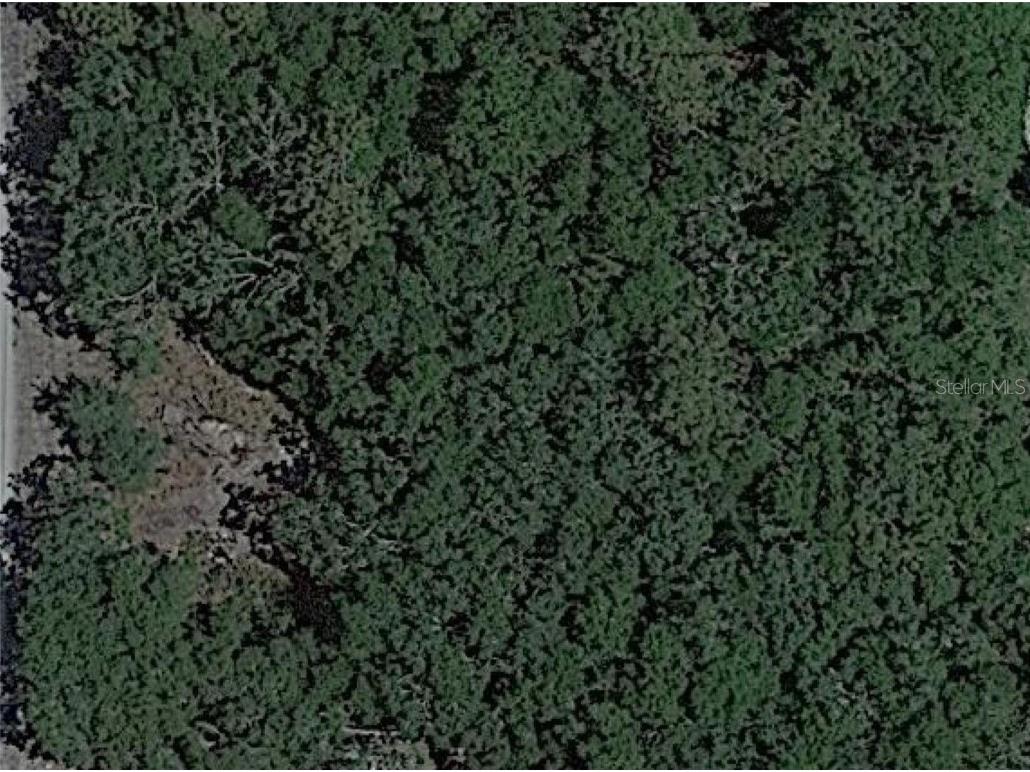 Pana New Port Richey FL 34654 S5079367 image1