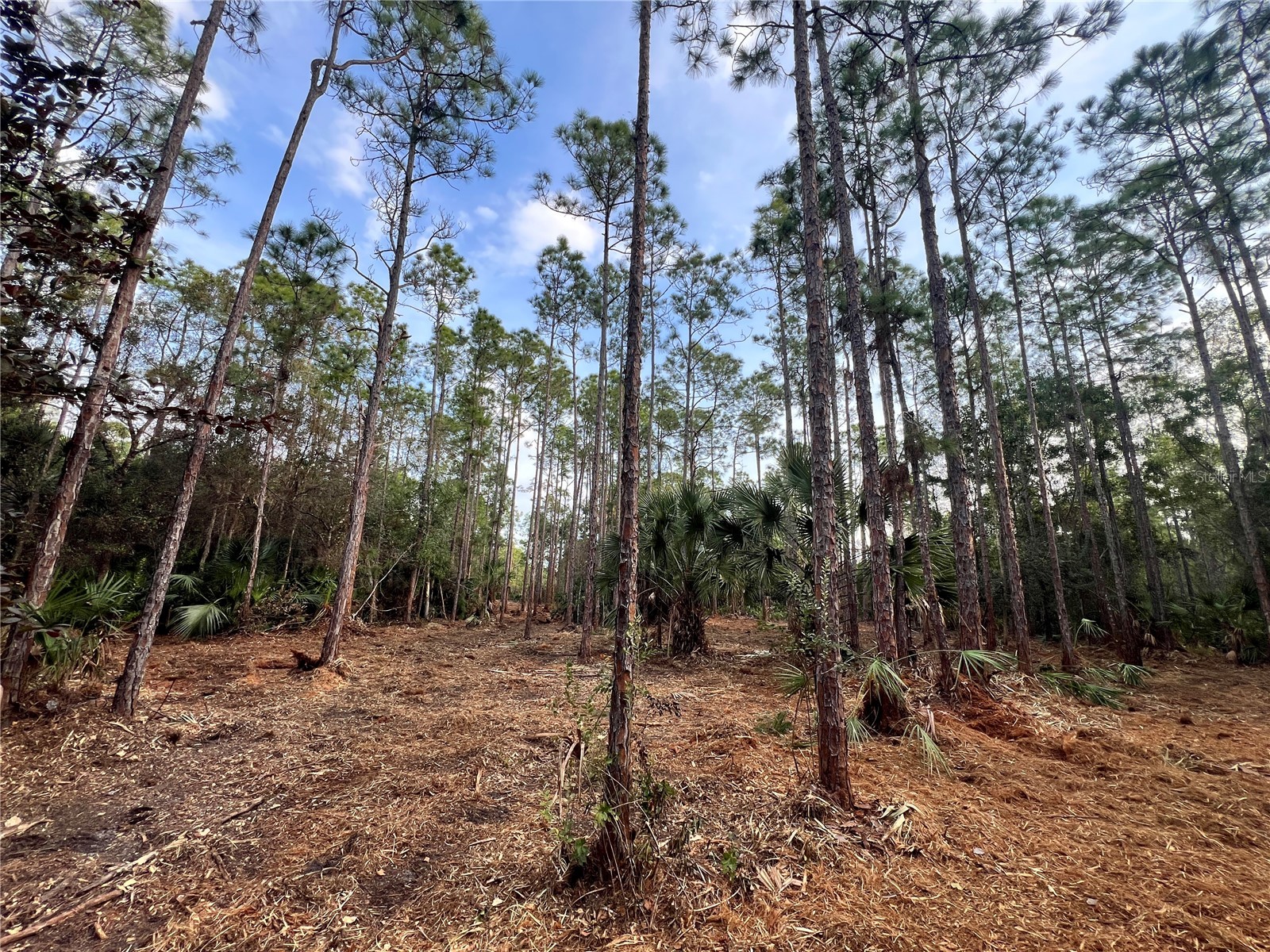 Pantera Ln Naples FL 34120 OM718343 image1