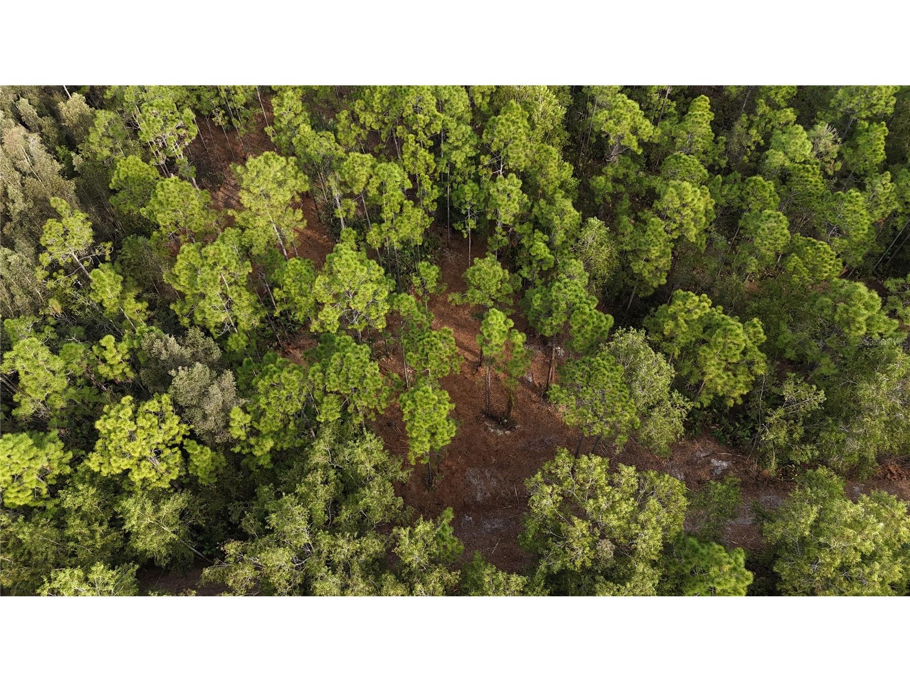 Pantera Ln Naples FL 34120 OM718343 image11