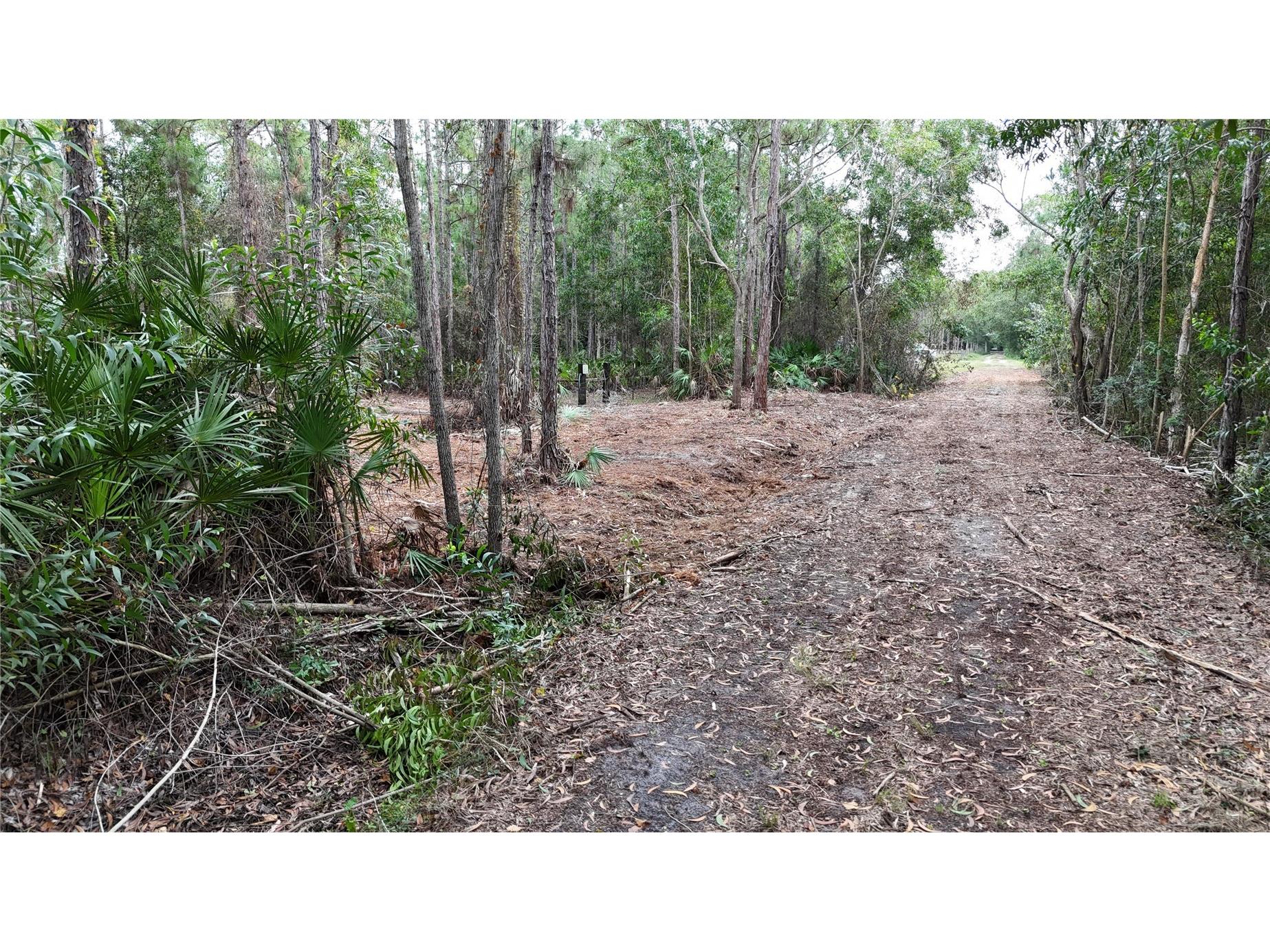 Pantera Ln Naples FL 34120 OM718343 image13