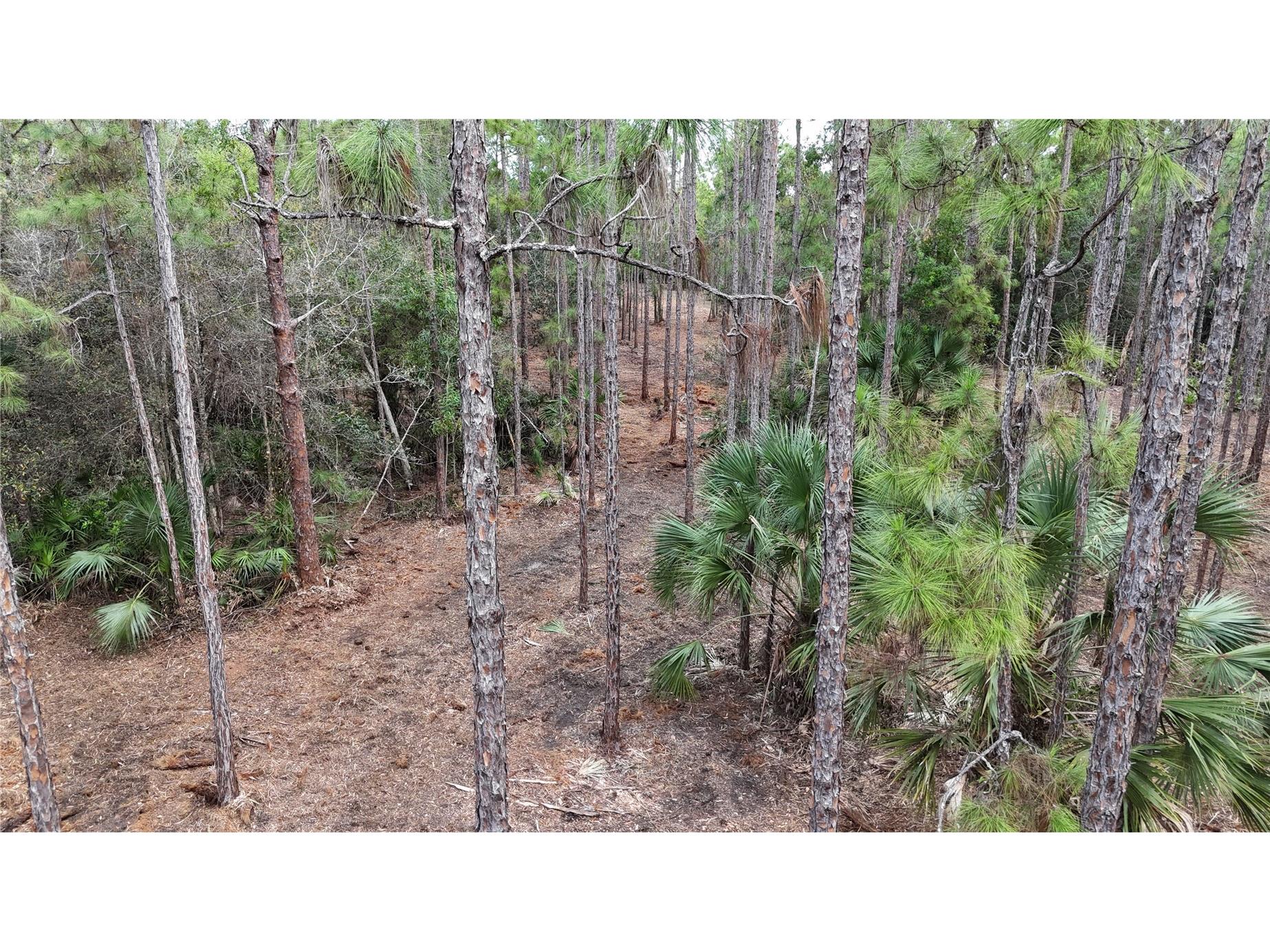 Pantera Ln Naples FL 34120 OM718343 image15