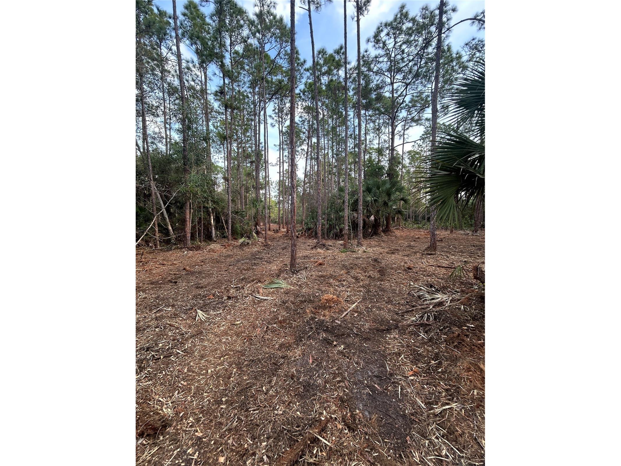 Pantera Ln Naples FL 34120 OM718343 image19