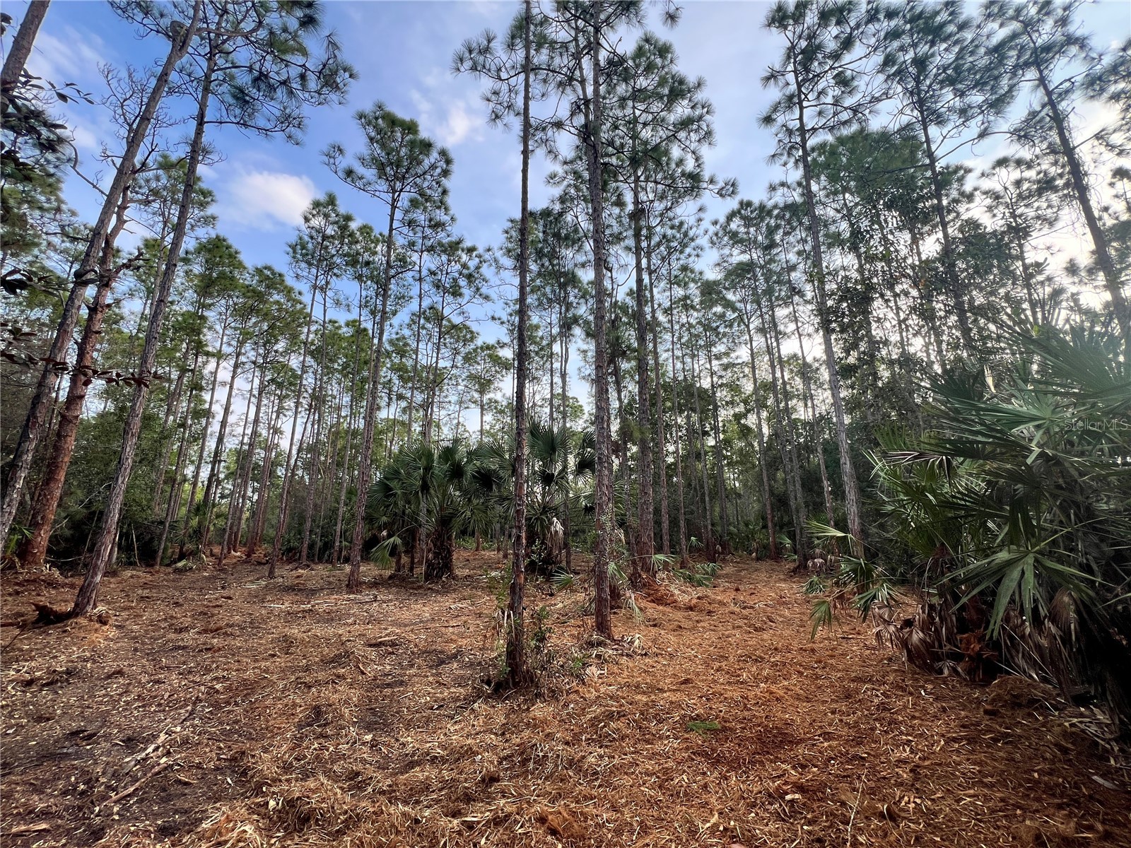 Pantera Ln Naples FL 34120 OM718343 image2