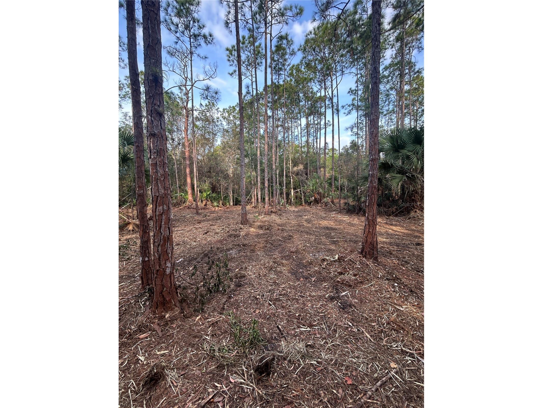 Pantera Ln Naples FL 34120 OM718343 image20