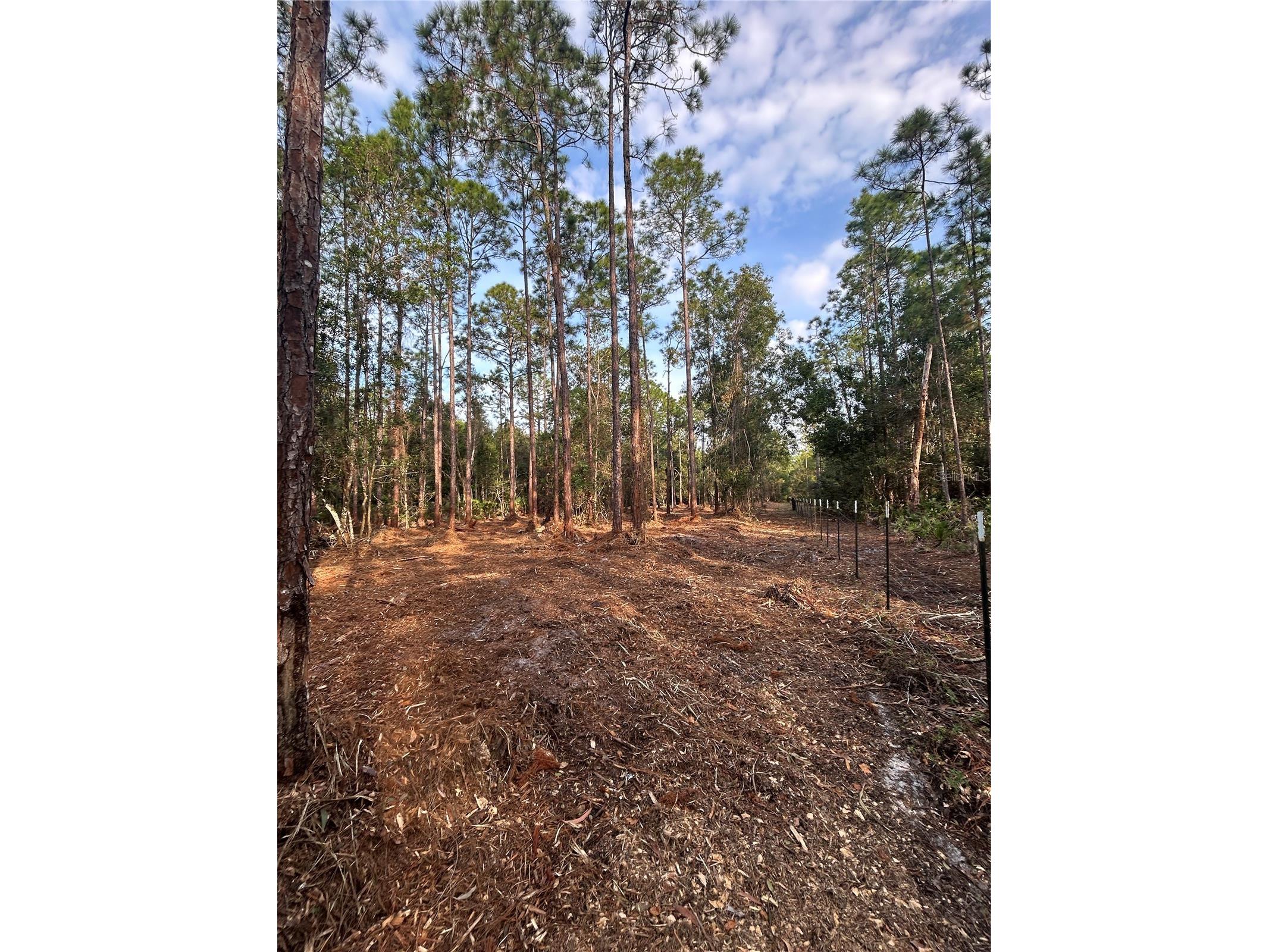 Pantera Ln Naples FL 34120 OM718343 image21