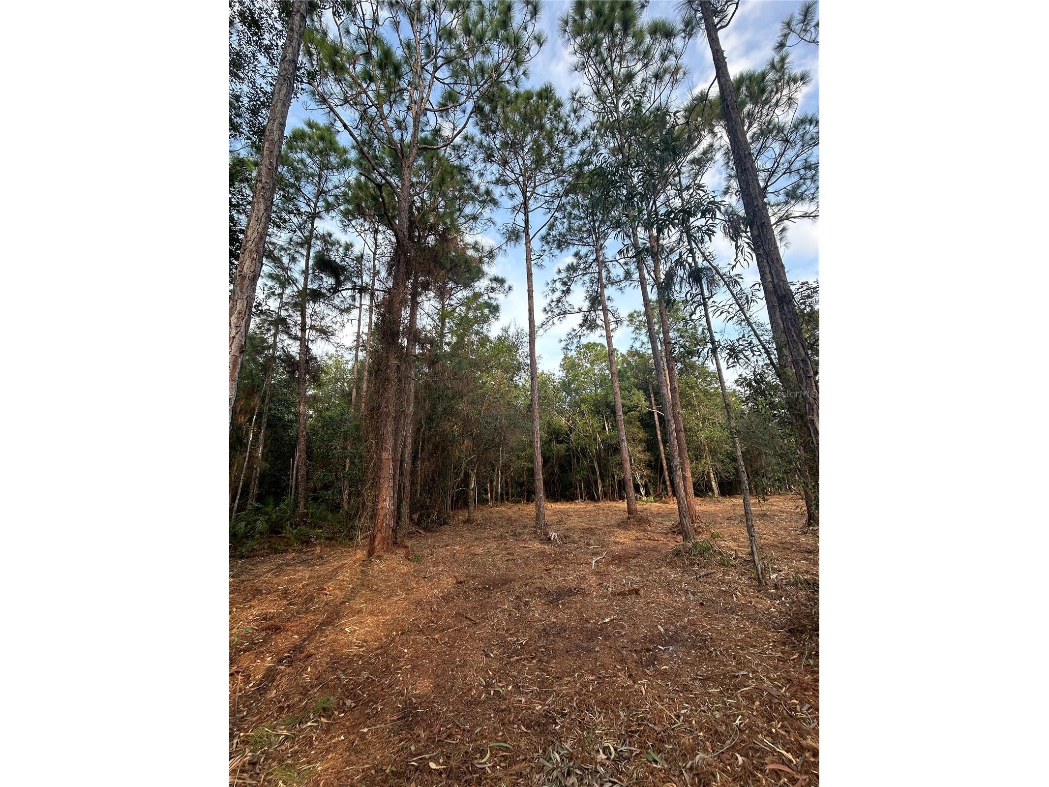 Pantera Ln Naples FL 34120 OM718343 image22