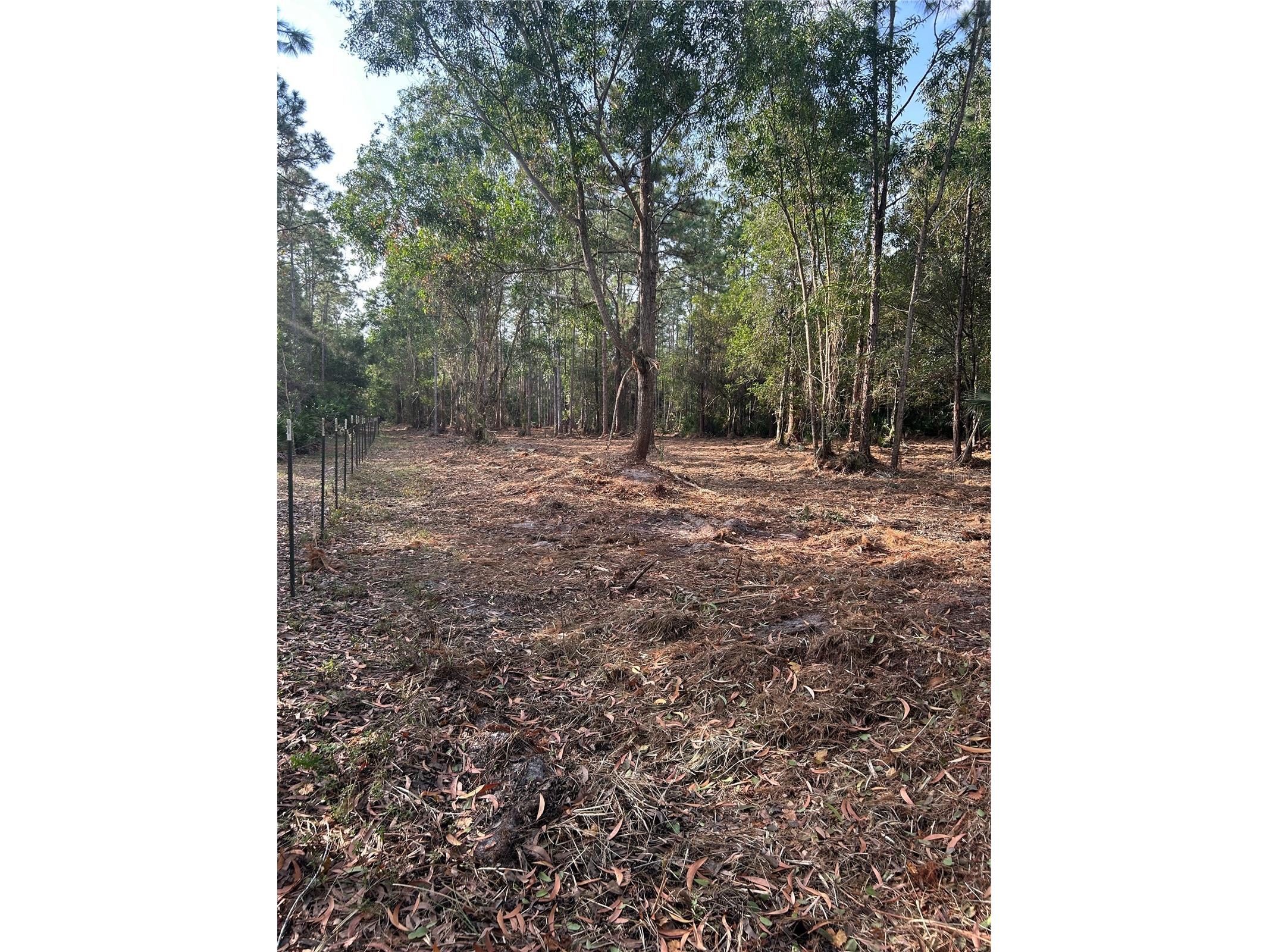 Pantera Ln Naples FL 34120 OM718343 image23