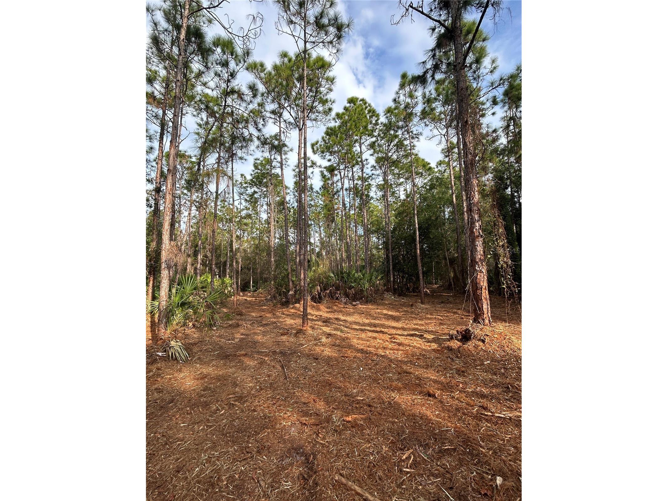 Pantera Ln Naples FL 34120 OM718343 image25