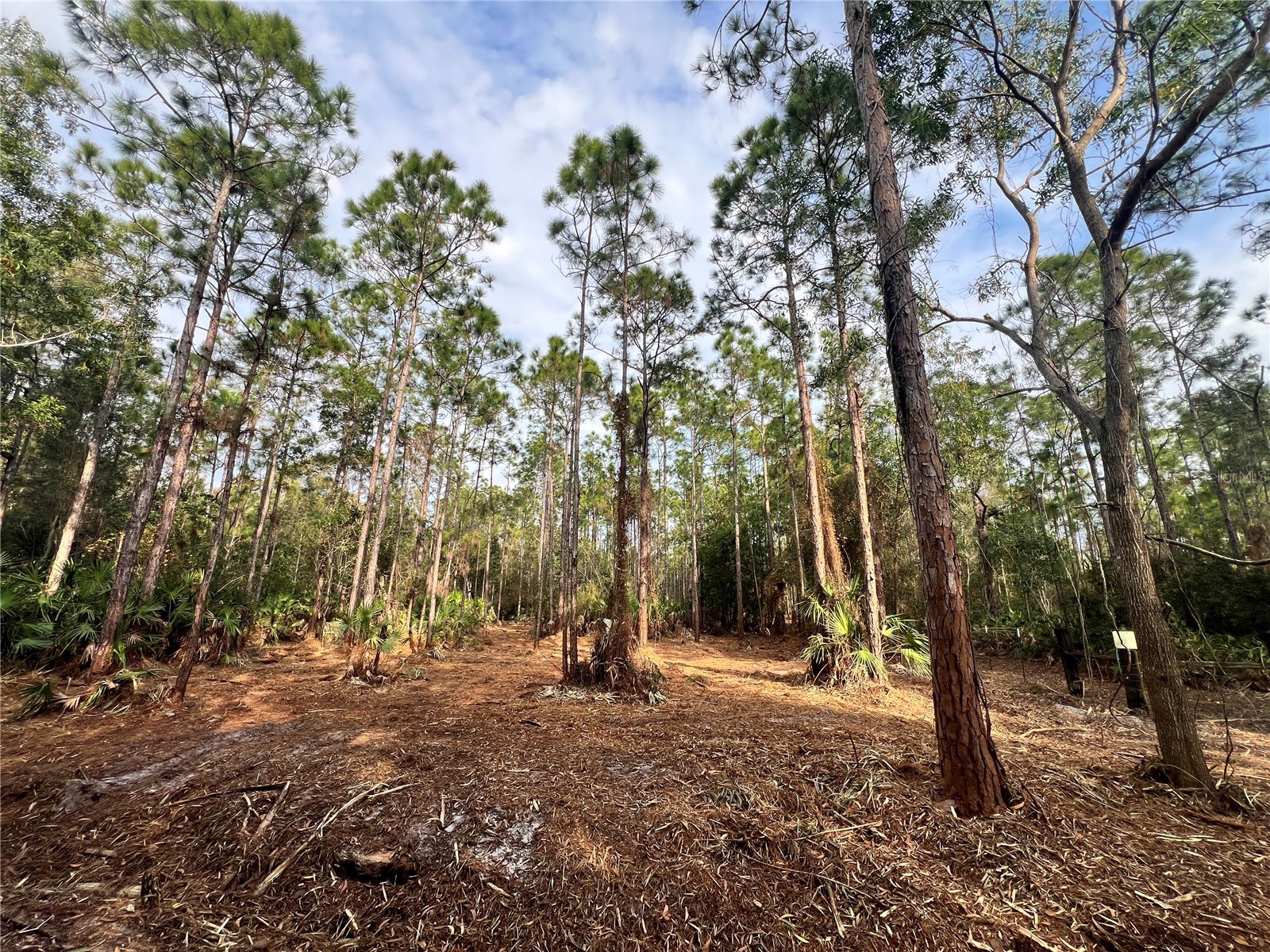 Pantera Ln Naples FL 34120 OM718343 image26