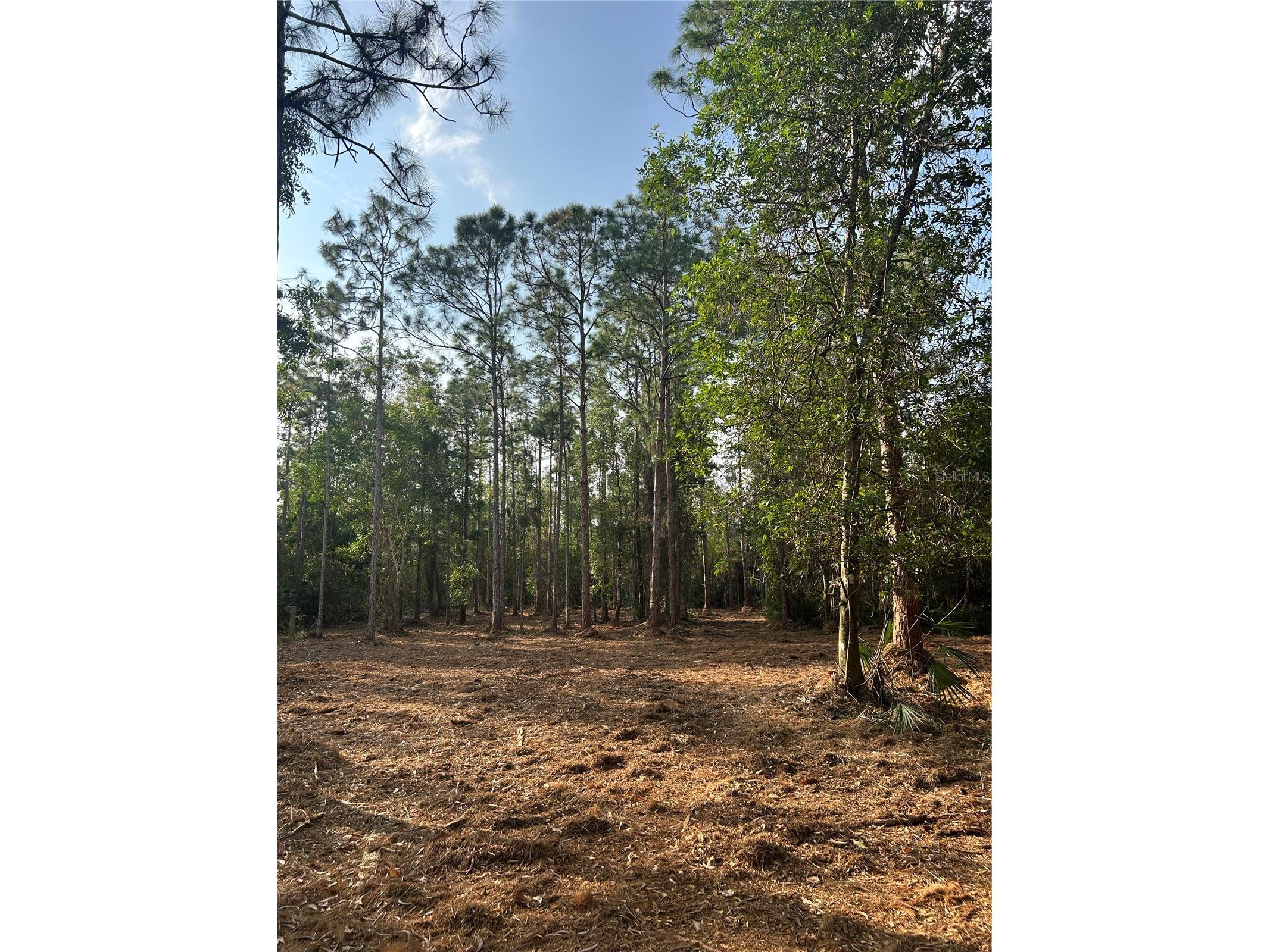 Pantera Ln Naples FL 34120 OM718343 image27