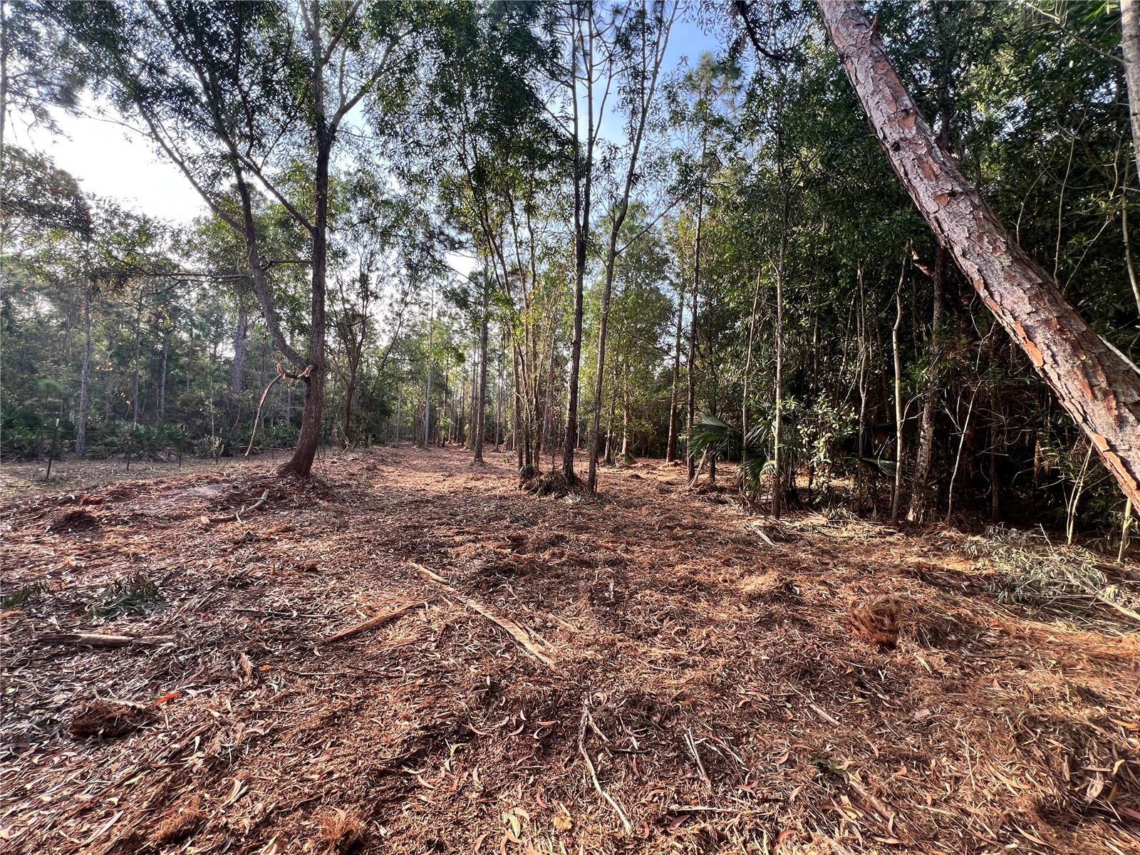 Pantera Ln Naples FL 34120 OM718343 image28