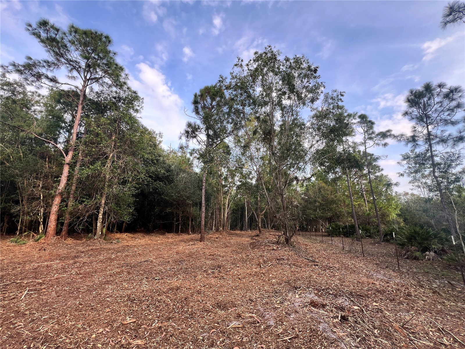 Pantera Ln Naples FL 34120 OM718343 image29