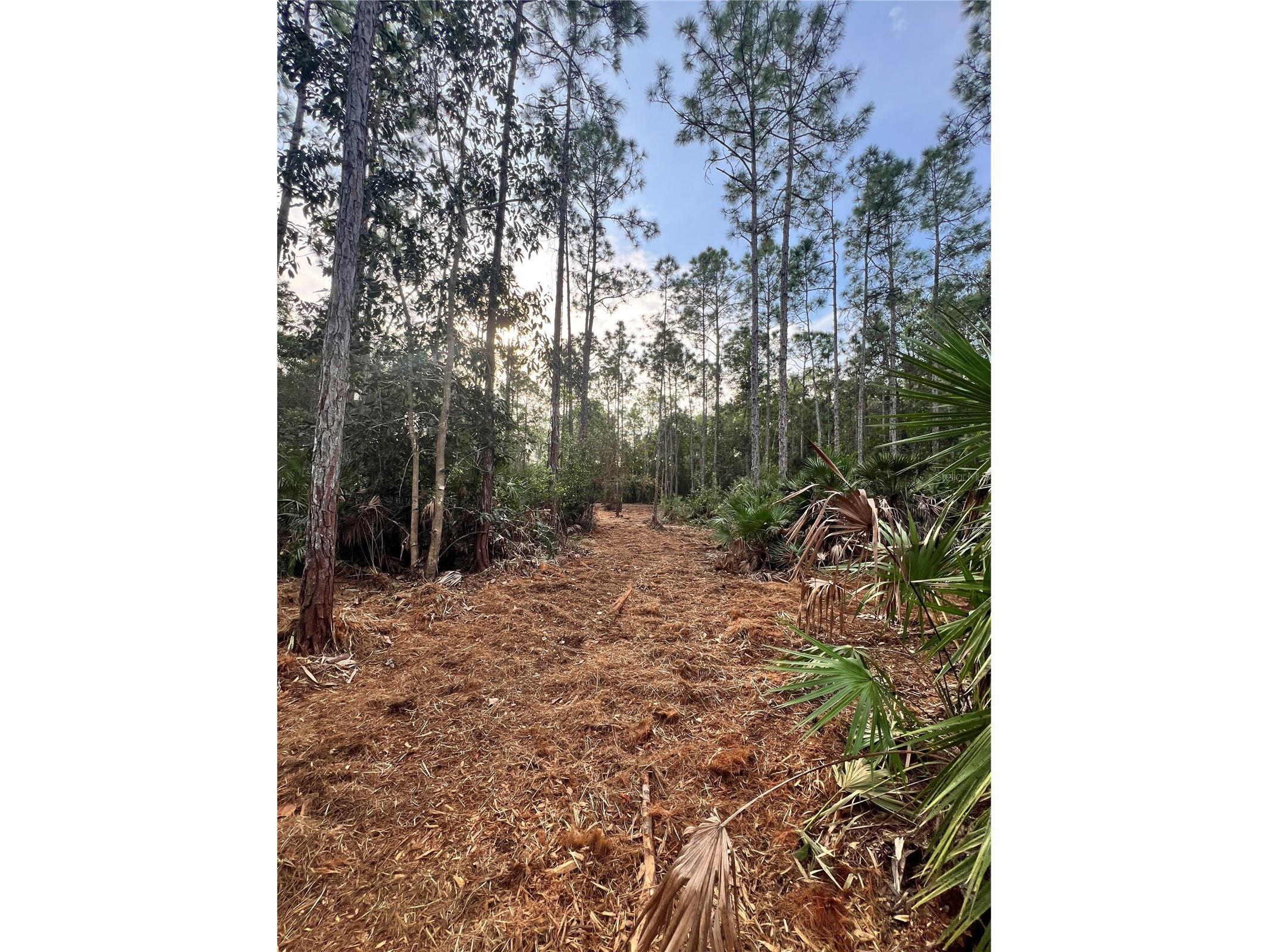 Pantera Ln Naples FL 34120 OM718343 image3