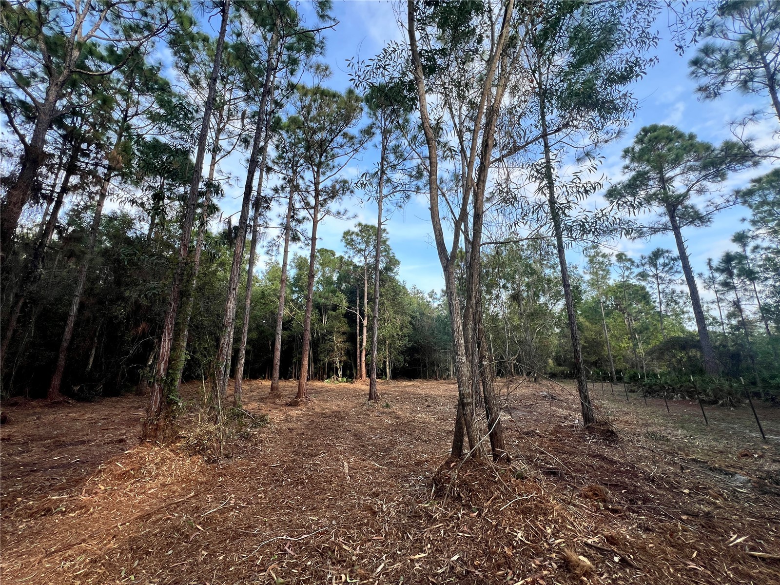 Pantera Ln Naples FL 34120 OM718343 image31