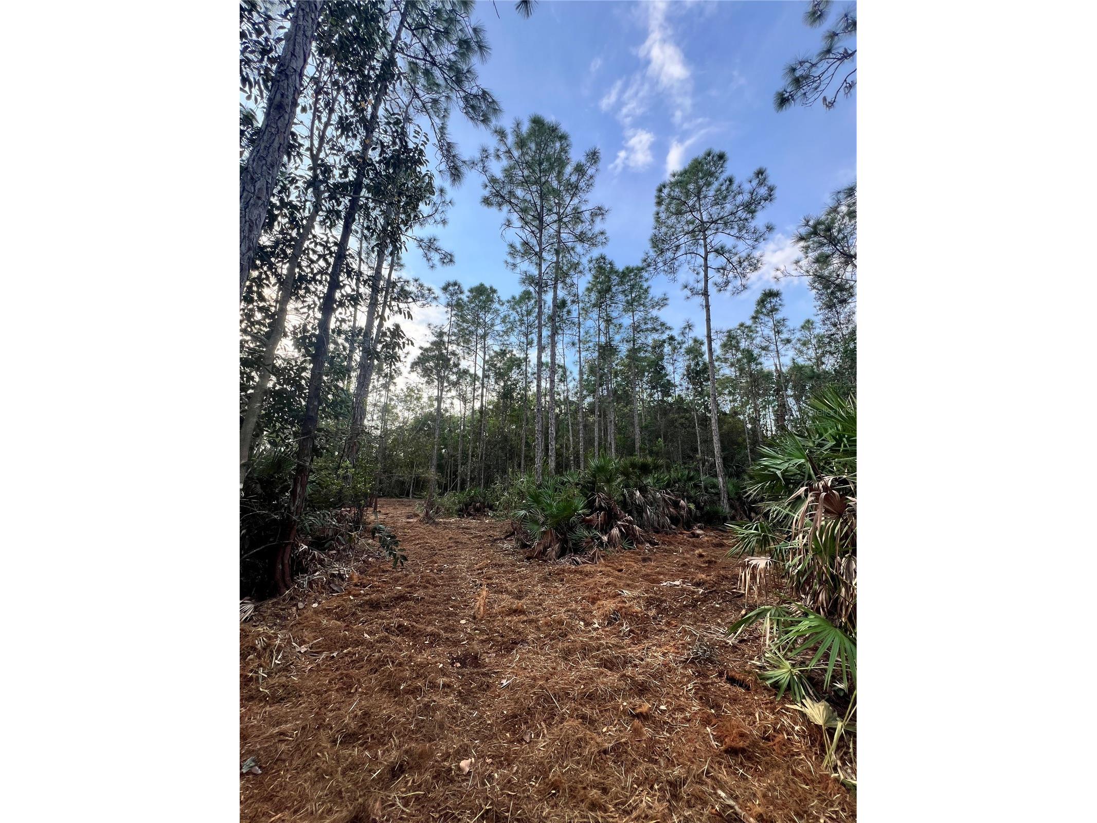 Pantera Ln Naples FL 34120 OM718343 image32