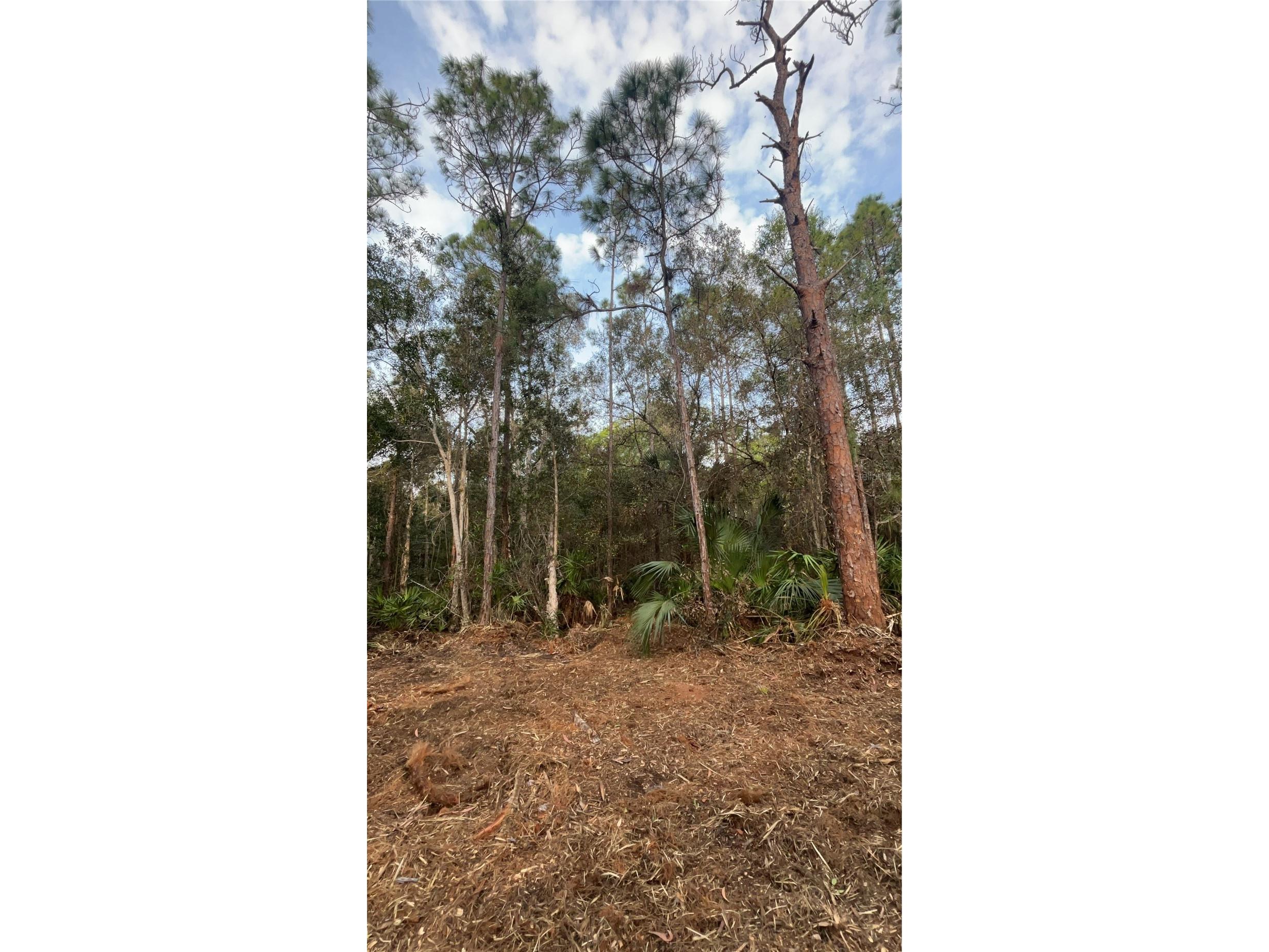 Pantera Ln Naples FL 34120 OM718343 image34